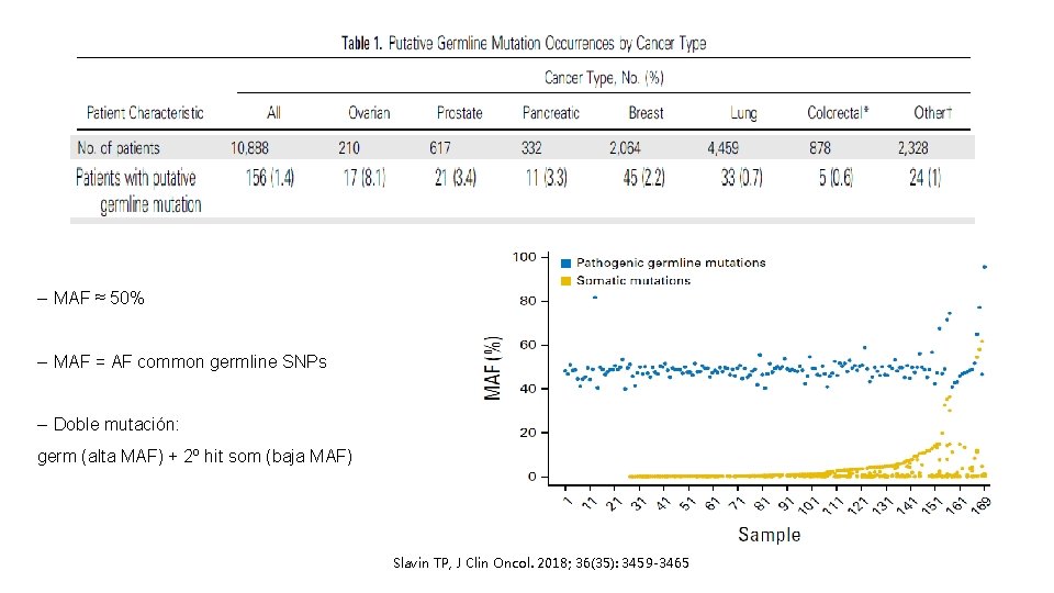 – MAF ≈ 50% – MAF = AF common germline SNPs – Doble mutación: