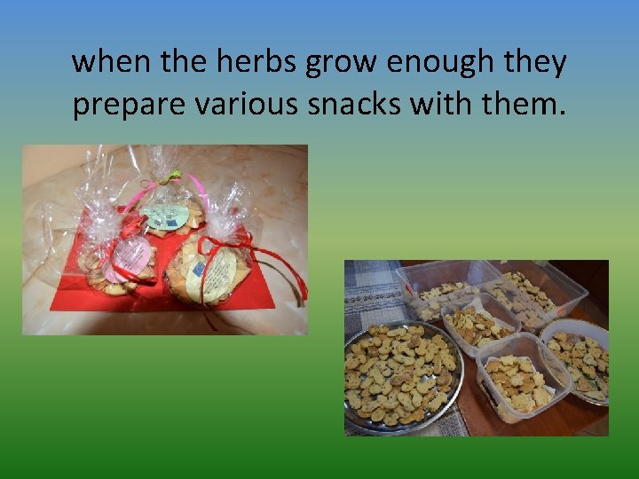 when the herbs grow enough they prepare various snacks with them. 