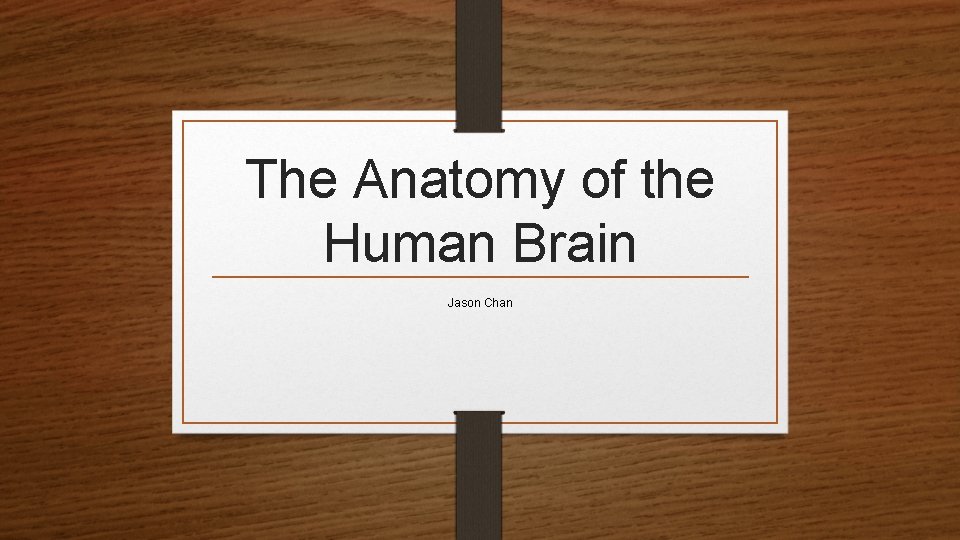 The Anatomy of the Human Brain Jason Chan 