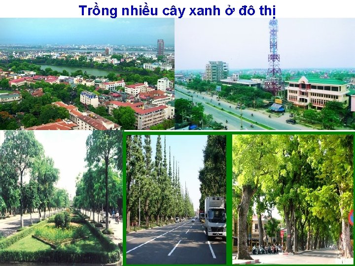 Trồng nhiều cây xanh ở đô thị 
