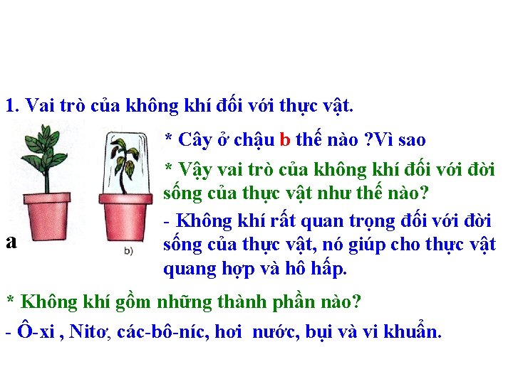 1. Vai trò của không khí đối với thực vật. a * Cây ở