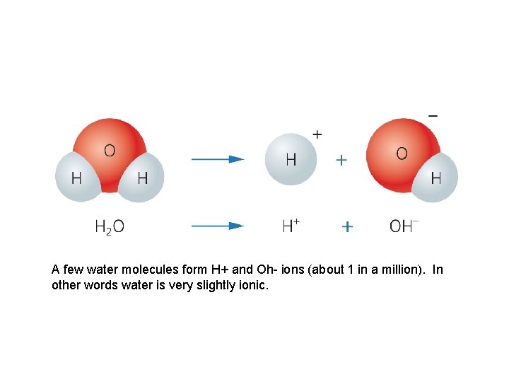 A few water molecules form H+ and Oh- ions (about 1 in a million).
