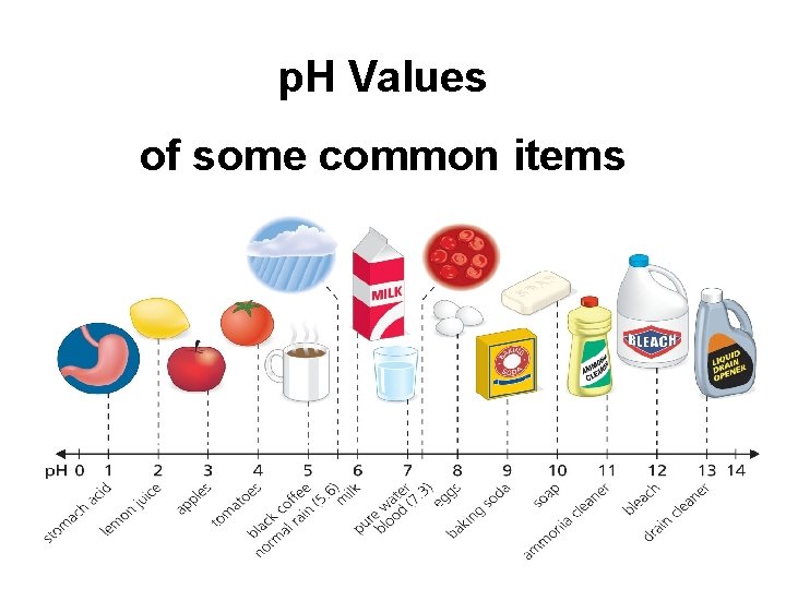 p. H Values of some common items 