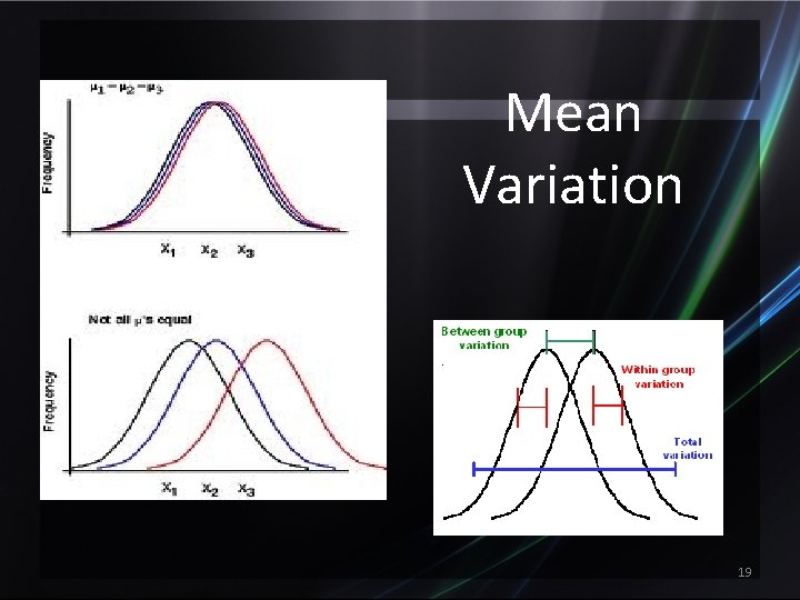 Mean Variation 19 