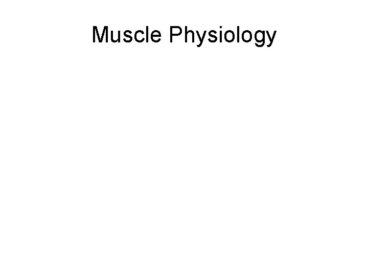 Muscle Physiology 