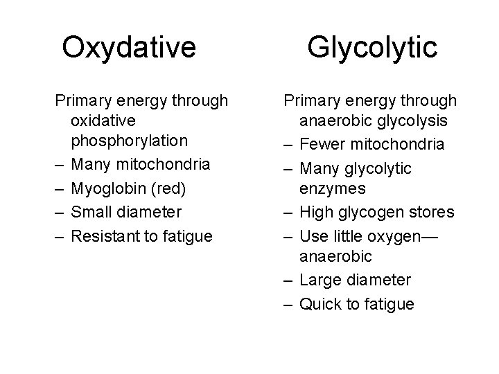 Oxydative Primary energy through oxidative phosphorylation – Many mitochondria – Myoglobin (red) – Small