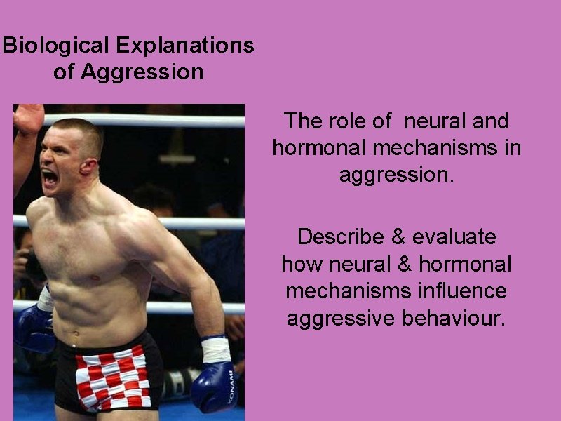 Biological Explanations of Aggression The role of neural and hormonal mechanisms in aggression. Describe