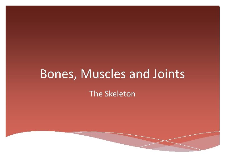 Bones, Muscles and Joints The Skeleton 