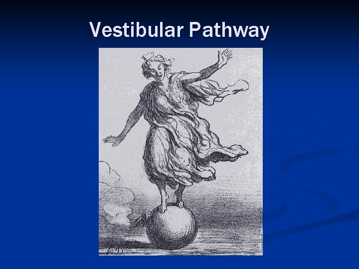 Vestibular Pathway 