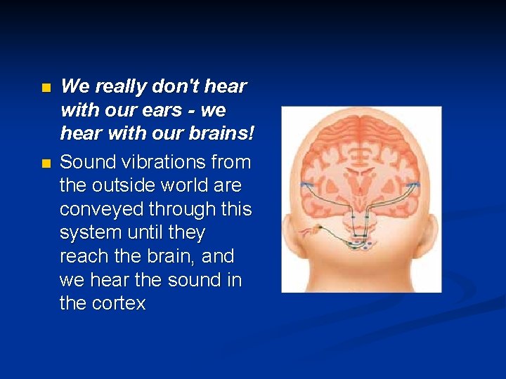 n n We really don't hear with our ears - we hear with our