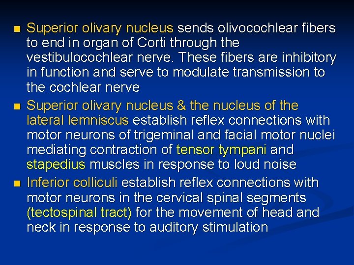 n n n Superior olivary nucleus sends olivocochlear fibers to end in organ of