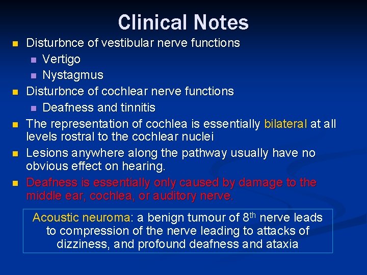 Clinical Notes n n n Disturbnce of vestibular nerve functions n Vertigo n Nystagmus