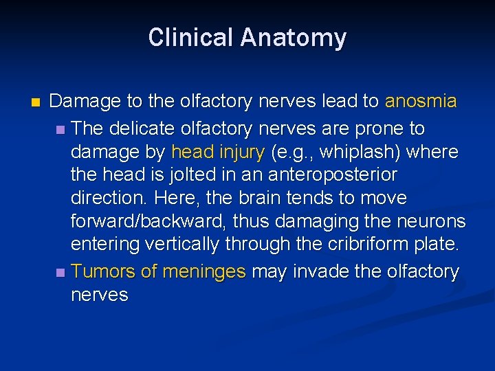 Clinical Anatomy n Damage to the olfactory nerves lead to anosmia n The delicate