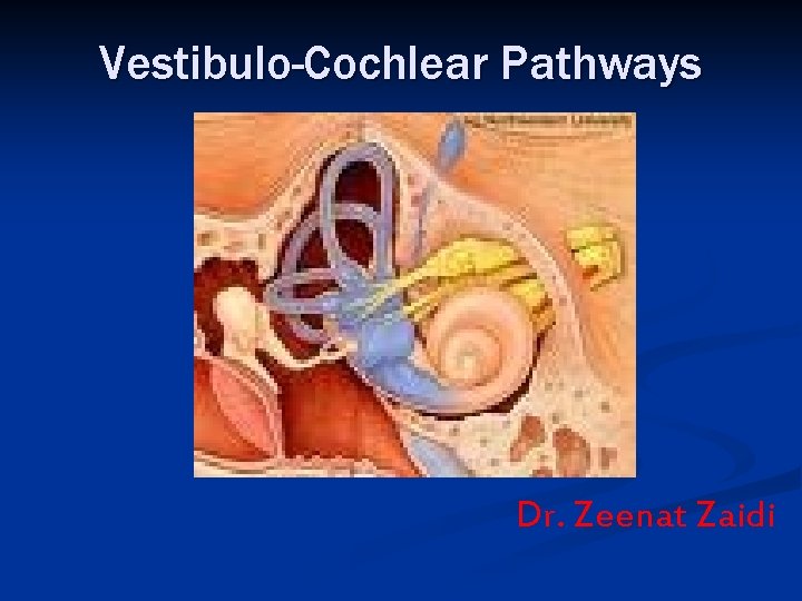 Vestibulo-Cochlear Pathways Dr. Zeenat Zaidi 