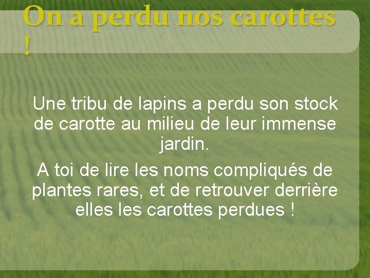 On a perdu nos carottes ! Une tribu de lapins a perdu son stock