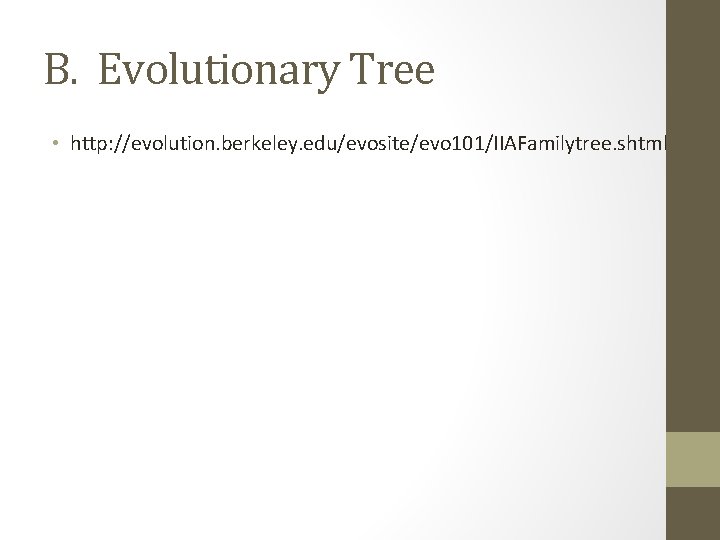 B. Evolutionary Tree • http: //evolution. berkeley. edu/evosite/evo 101/IIAFamilytree. shtml 