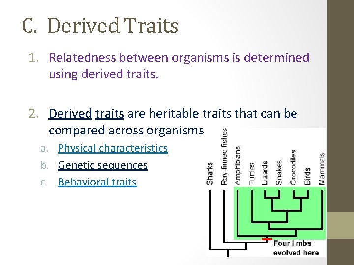 C. Derived Traits 1. Relatedness between organisms is determined using derived traits. 2. Derived