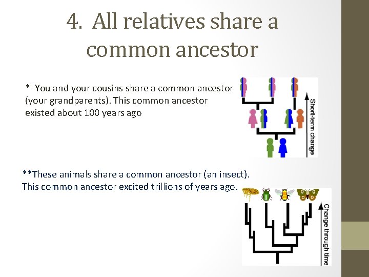 4. All relatives share a common ancestor * You and your cousins share a