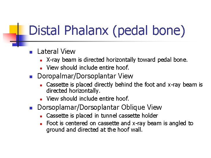 Distal Phalanx (pedal bone) n Lateral View n n n Doropalmar/Dorsoplantar View n n