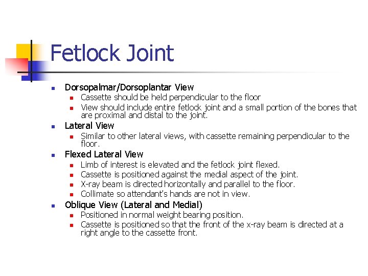 Fetlock Joint n Dorsopalmar/Dorsoplantar View n n n Lateral View n n Similar to