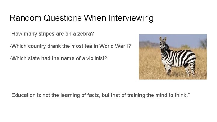 Random Questions When Interviewing -How many stripes are on a zebra? -Which country drank