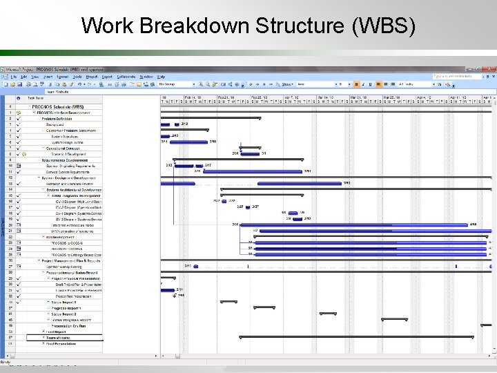 Work Breakdown Structure (WBS) 