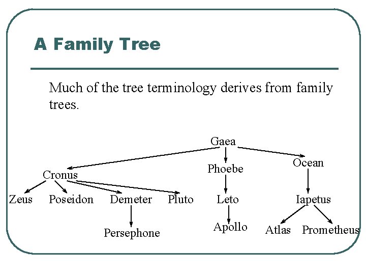 A Family Tree Much of the tree terminology derives from family trees. Gaea Phoebe