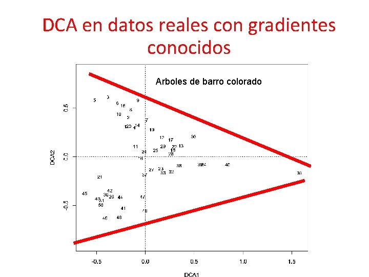 DCA en datos reales con gradientes conocidos Arboles de barro colorado DCA en datos reales con gradientes conocidos Arboles de barro colorado