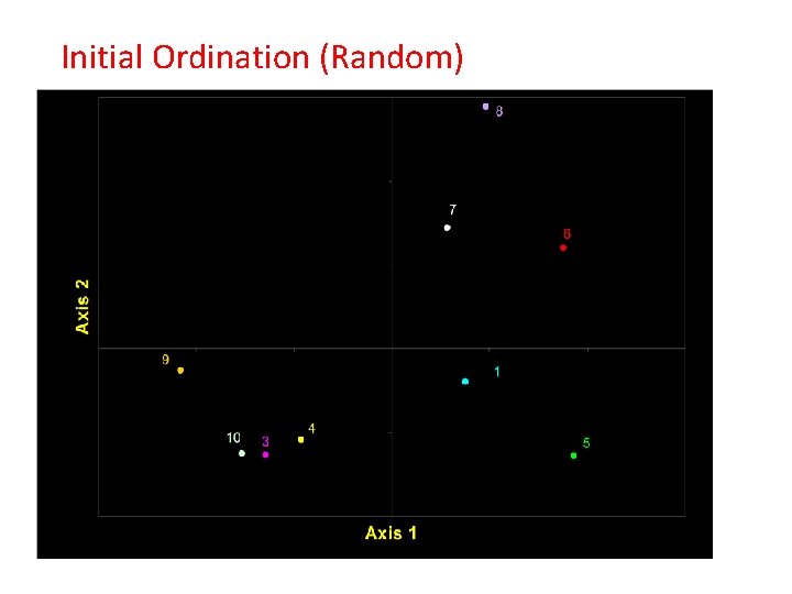 Initial Ordination (Random) Initial Ordination (Random)