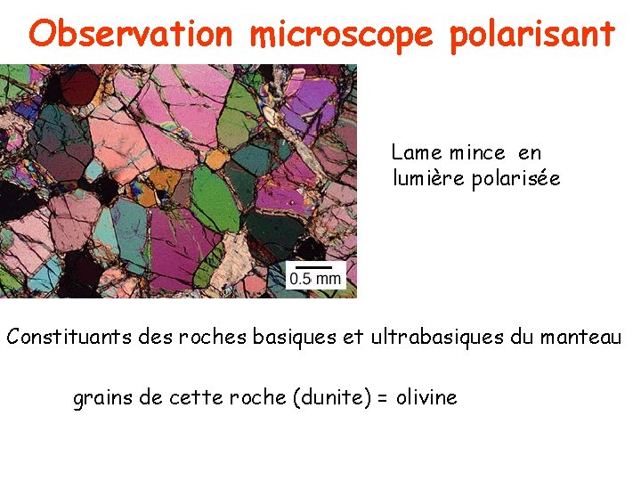 Observation microscope polarisant Lame mince en lumière polarisée Constituants des roches basiques et ultrabasiques