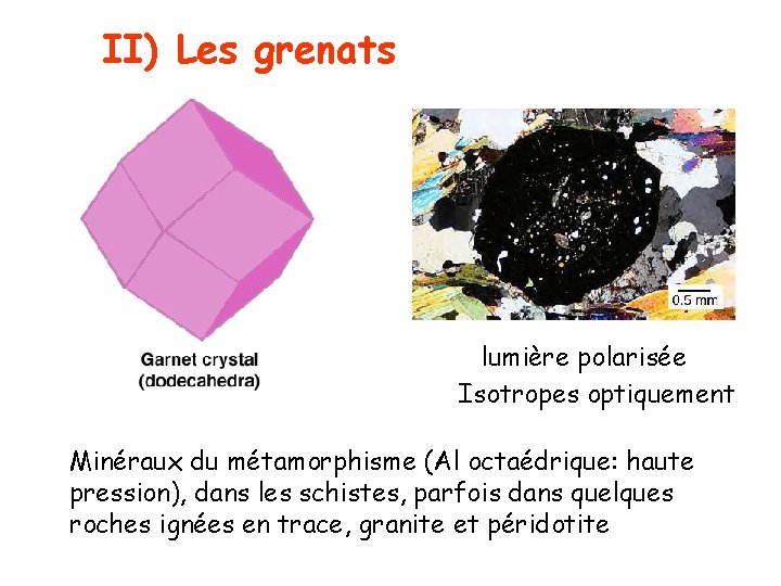 II) Les grenats lumière polarisée Isotropes optiquement Minéraux du métamorphisme (Al octaédrique: haute pression),