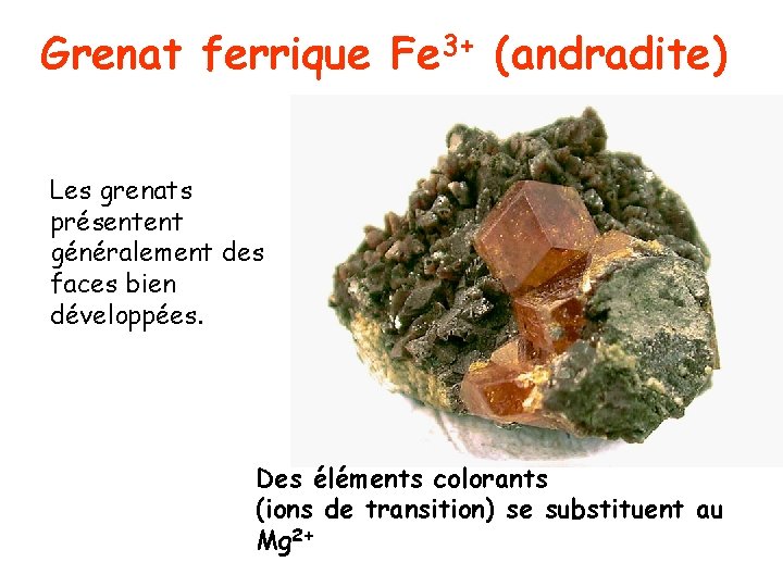 Grenat ferrique Fe 3+ (andradite) Les grenats présentent généralement des faces bien développées. Des