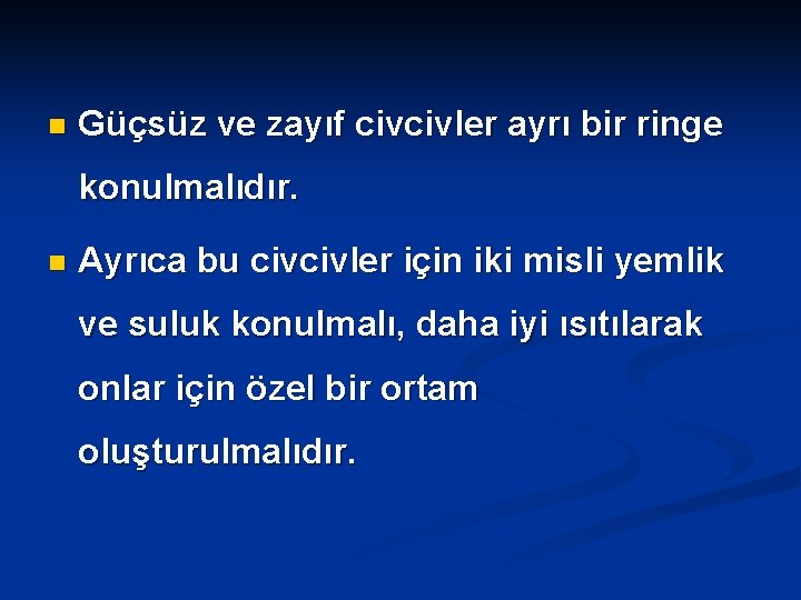 n Güçsüz ve zayıf civcivler ayrı bir ringe konulmalıdır. n Ayrıca bu civcivler için