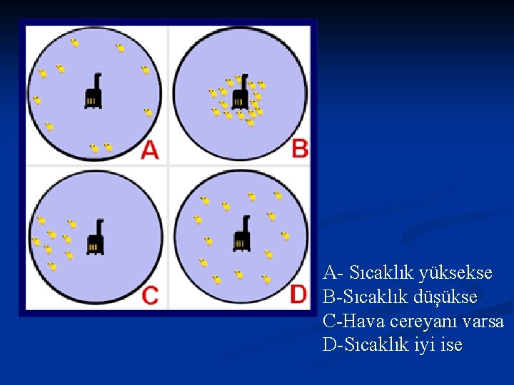 A- Sıcaklık yüksekse B-Sıcaklık düşükse C-Hava cereyanı varsa D-Sıcaklık iyi ise 