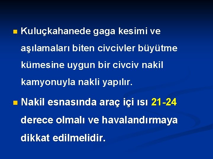 n Kuluçkahanede gaga kesimi ve aşılamaları biten civcivler büyütme kümesine uygun bir civciv nakil