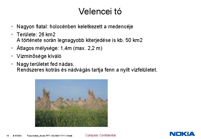 Velencei tó • Nagyon fiatal: holocénben keletkezett a medencéje • Területe: 26 km 2