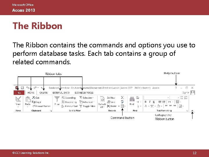 Microsoft Office Access 2013 The Ribbon contains the commands and options you use to