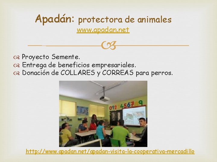 Apadán: protectora de animales www. apadan. net Proyecto Semente. Entrega de beneficios empresariales. Donación