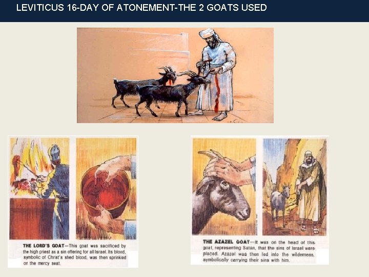 LEVITICUS 16 -DAY OF ATONEMENT-THE 2 GOATS USED 