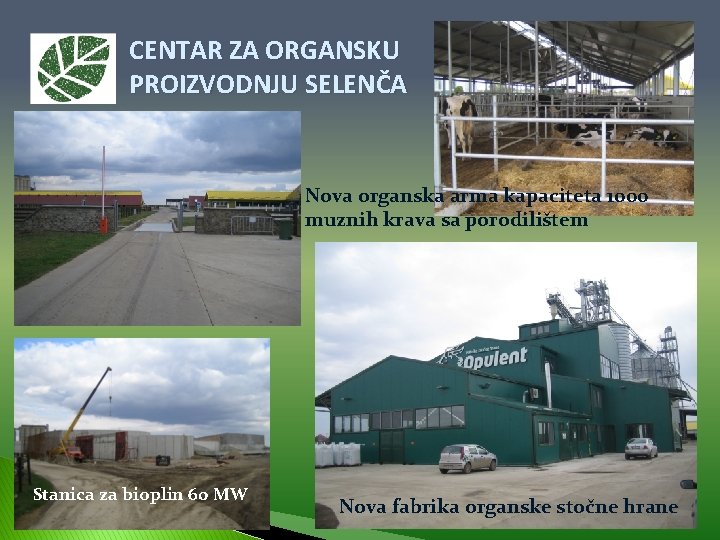 CENTAR ZA ORGANSKU PROIZVODNJU SELENČA Nova organska arma kapaciteta 1000 muznih krava sa porodilištem