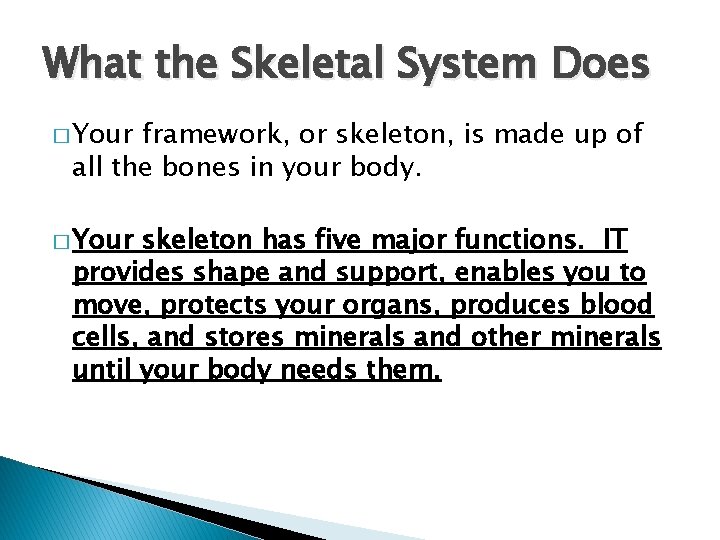 What the Skeletal System Does � Your framework, or skeleton, is made up of