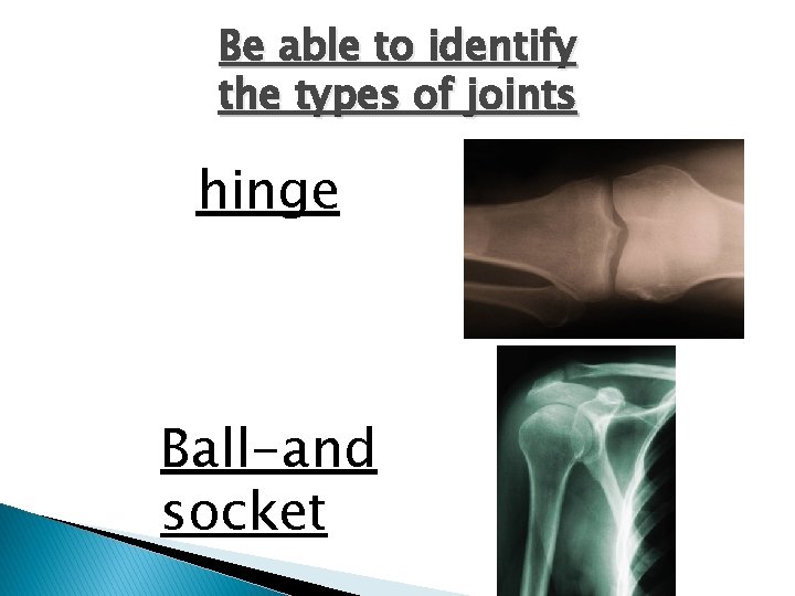 Be able to identify the types of joints hinge Ball-and socket 
