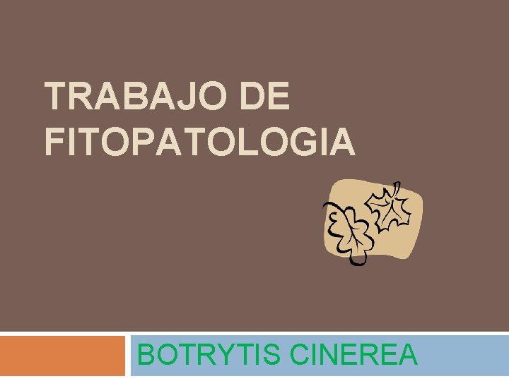 TRABAJO DE FITOPATOLOGIA BOTRYTIS CINEREA 