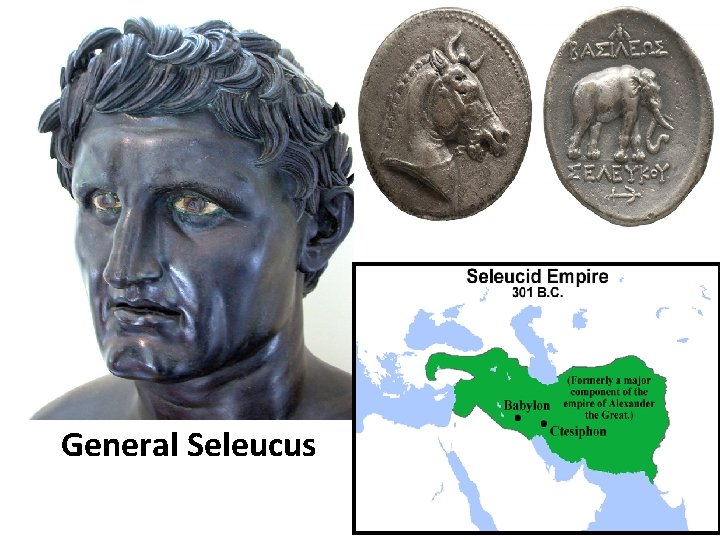 General Seleucus 