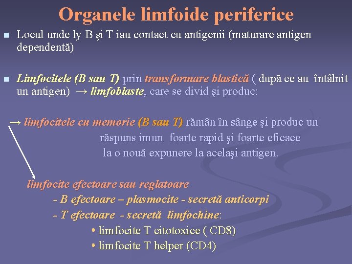 Organele limfoide periferice n Locul unde ly B şi T iau contact cu antigenii