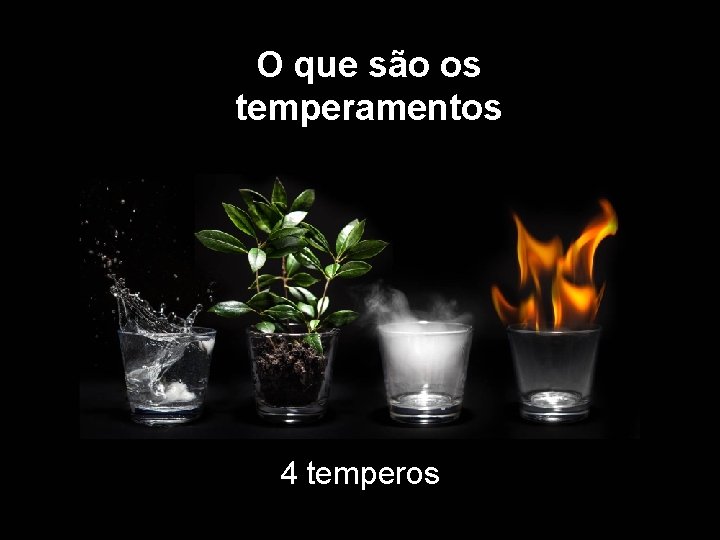 O que são os temperamentos 4 temperos 