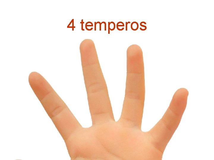4 temperos 