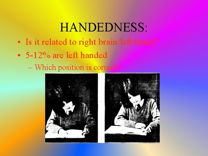 HANDEDNESS: • Is it related to right brain/left brain? • 5 -12% are left