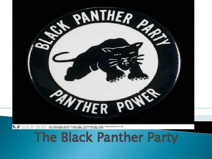 The Black Panther Party 