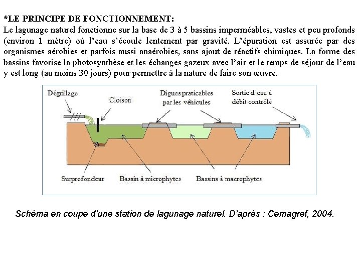 *LE PRINCIPE DE FONCTIONNEMENT: Le lagunage naturel fonctionne sur la base de 3 à